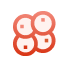 Stem Cell